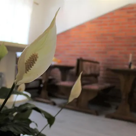 Apartment Benten